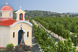Olympus Winery